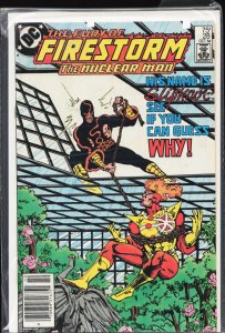 The Fury of Firestorm #28 (1984) Firestorm [Key Issue]