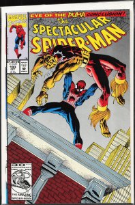 The Spectacular Spider-Man #193 (1992) Spider-Man