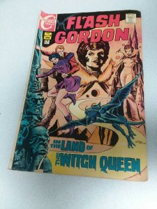 Flash Gordon #14 charlton comics 1969 silver age scifi pat boyette cover art 