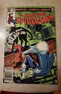 The Amazing Spider-Man #226  Newsstand (1982)