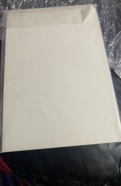 Web of Spider-Man #14 (1986)