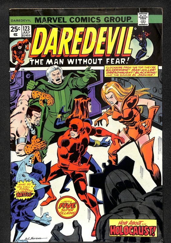 Daredevil #123 (1975)