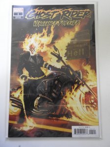 Ghost Rider: Vengeance Forever #1 Variant Editon