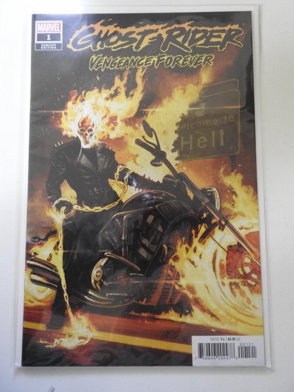 Ghost Rider: Vengeance Forever #1 Variant Editon