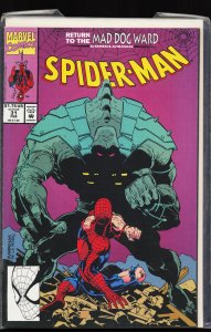 Spider-Man #31 (1993) Spider-Man