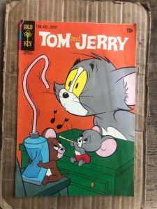 Tom and Jerry #254 (1970)