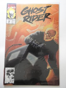 Ghost Rider #13