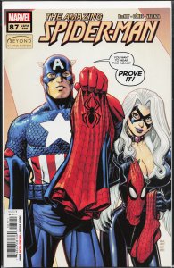 The Amazing Spider-Man #87  (2022)