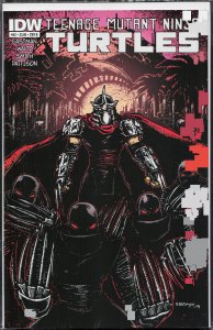 Teenage Mutant Ninja Turtles #42 Cover B (2015)