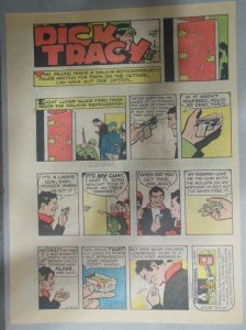 Dick Tracy Sunday Page by Chester Gould from 6/19/1977 Size: 11 x 15 inches