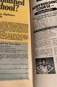 The Cat #4 (1973)stampede higher grade