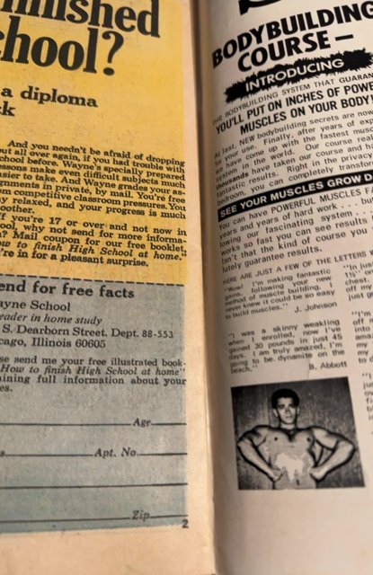 The Cat #4 (1973)stampede higher grade