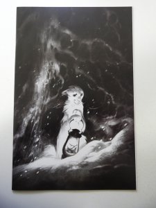 Animal Castle #5 Cover C (2022) VF+ Condition