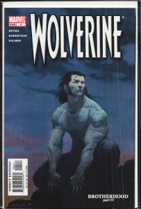 Wolverine 2000 Direct Edition (2001) Wolverine
