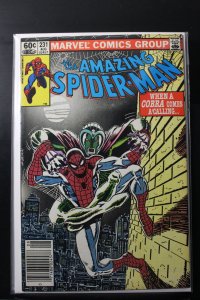 The Amazing Spider-Man #231 (1982)