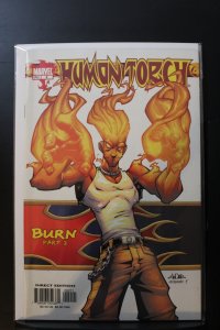 Human Torch #2 (2003)