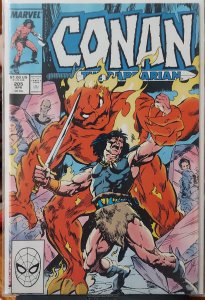 Conan the Barbarian #205 (1988)