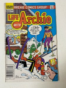 Archie lot 25 different issues Mag Bag