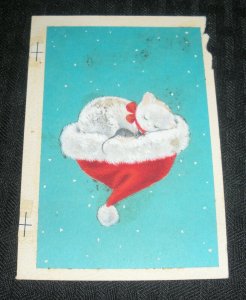 CHRISTMAS Cute White Cat Asleep in Santa Hat 3.25x4.75 Greeting Card Art #BB4