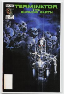 The Terminator: The Burning Earth #4 (1990) The Terminator
