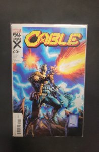 Cable #1 (2024)