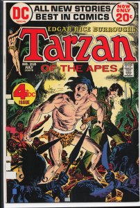 Edgar Rice Burroughs' Tarzan #210 (1972)