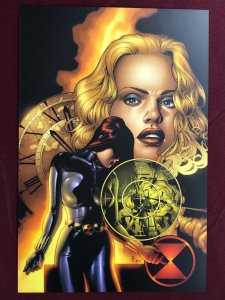 BLACK WIDOW POSTER 11 x 16 SHPPED FLAT 1999 JONES AVENGERS