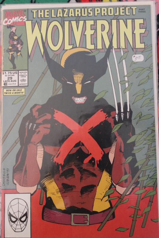 Wolverine 29 NM