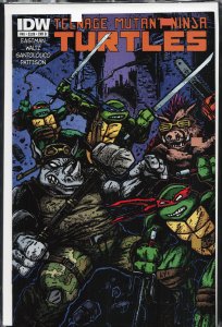 Teenage Mutant Ninja Turtles #40 Cover B (2014)