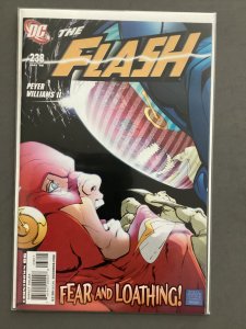 The Flash #238 (2008)