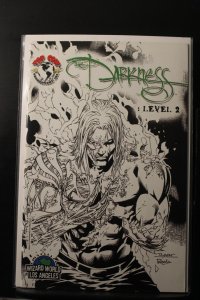 Darkness Level #2 Wizard World Exclusive Cover (2007)