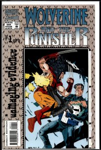 Wolverine and the Punisher: Damaging Evidence #1 (1993) Punisher