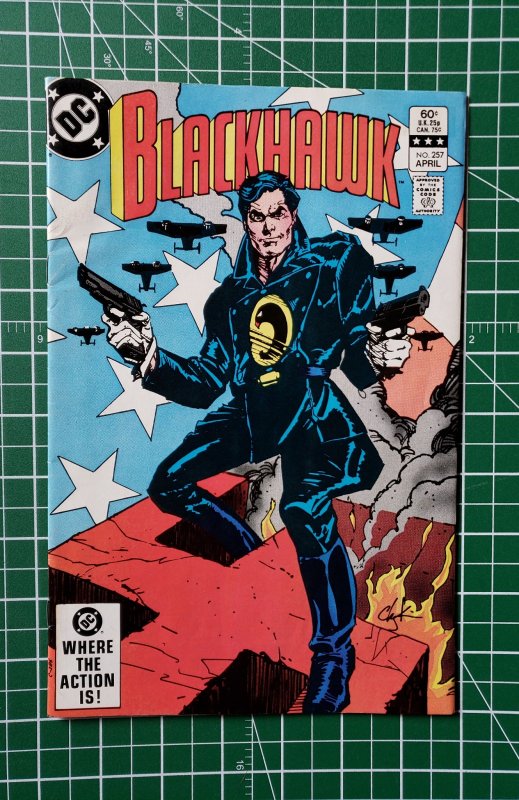 Blackhawk #257 (1983)