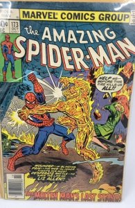 The Amazing Spider-Man #173 (1977) Spider-Man 