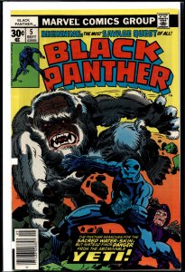 Black Panther #5 (1977) Black Panther