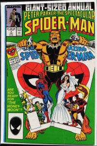 The Spectacular Spider-Man Annual #7 (1987) Spider-Man