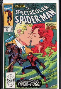 The Spectacular Spider-Man #167 (1990) Spider-Man