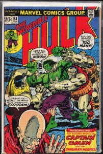 The Incredible Hulk #164 (1973) Hulk