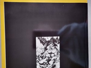 Swamp Thing Winter Special #1 2nd Print NM DC 2018