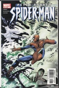 Peter Parker: Spider-Man #49 (2002) [Key Issue]