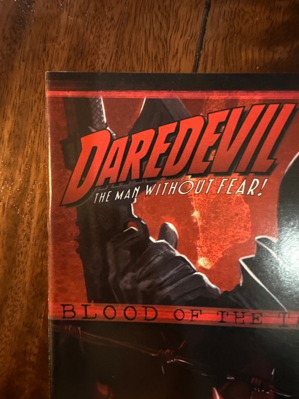 Daredevil: Blood of the Tarantula (2008)