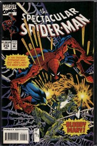 The Spectacular Spider-Man #214 (1994) Spider-Man