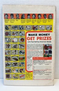 Ghost Rider #43 (1980)