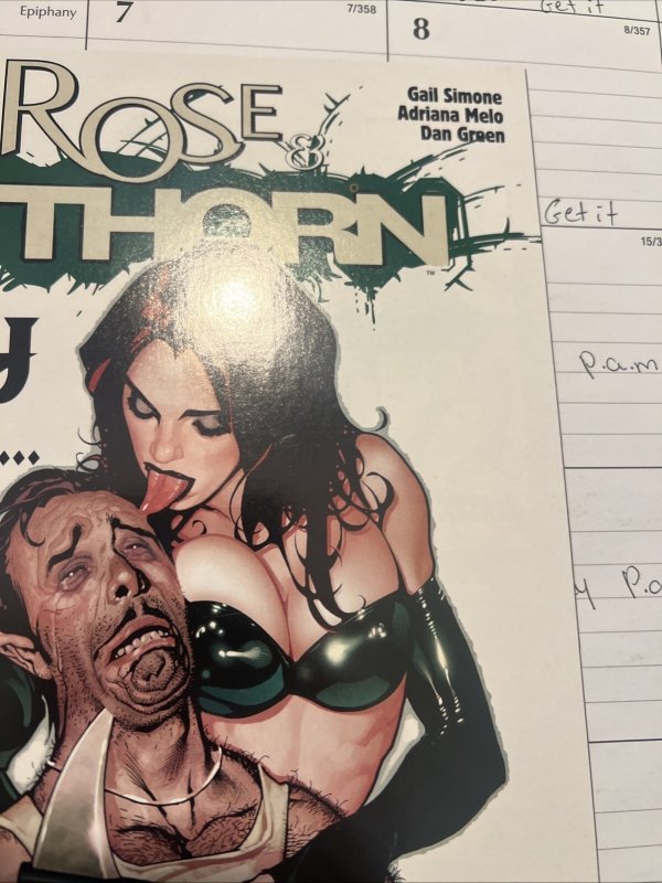 Rose & Thorn # 4 DC 2004 Adam Hughes Cover VF/ NM