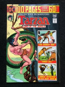 DC 100 Page Super Spectacular (1974) #69 Tarzan #232 FN (6.0) DC-69