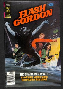 Flash Gordon #21 (1979)