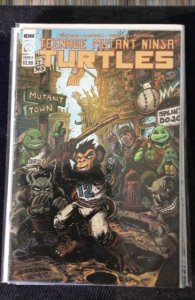 Teenage Mutant Ninja Turtles #109 Cover B (2020)