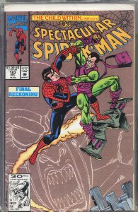 The Spectacular Spider-Man #183 (1991) Spider-Man