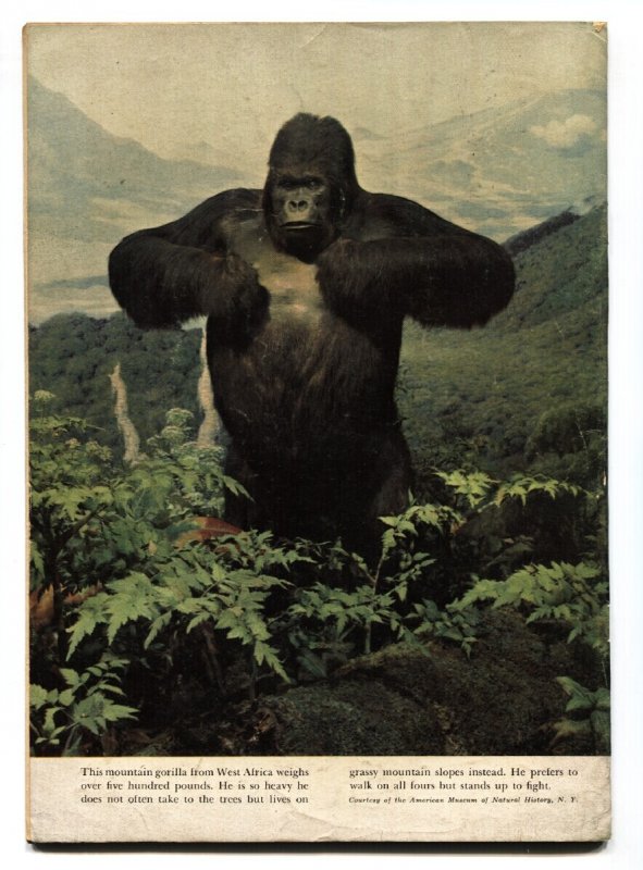 Tarzan #23  1951 - Dell  -FN - Comic Book