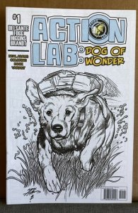 Action Lab, Dog of Wonder #1 Cover C (2016)